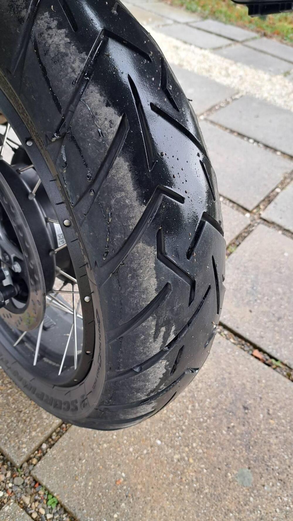 Moto Guzzi Stelvio (2024 - 26) (7)