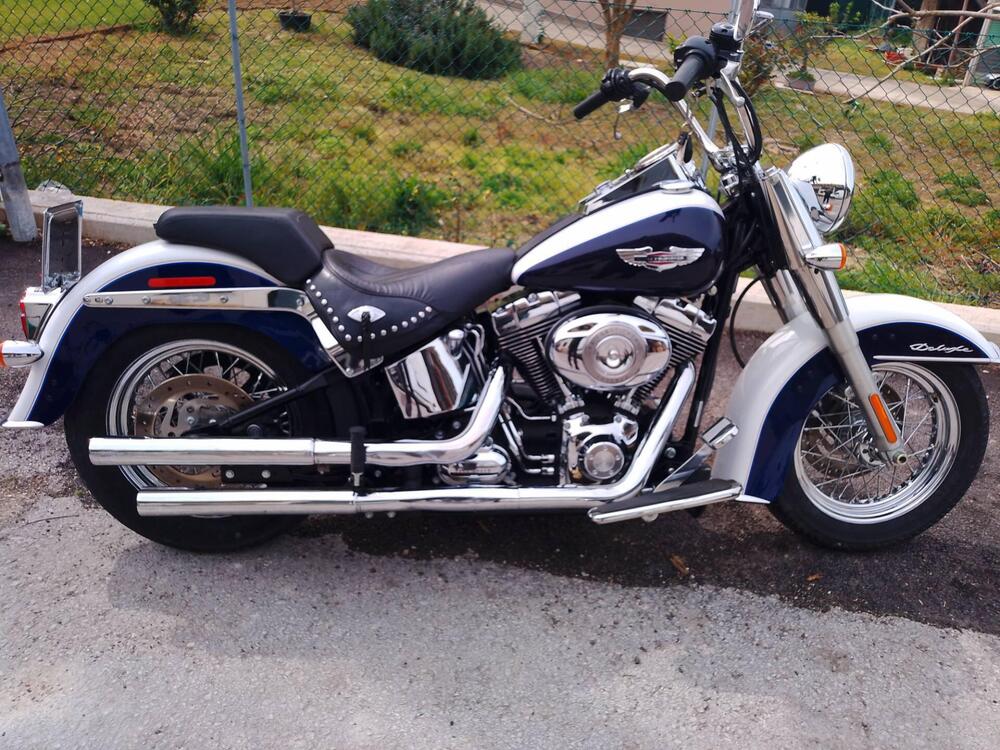 Harley-Davidson 1584 Deluxe (2007 - 08) - FLSTN (2)