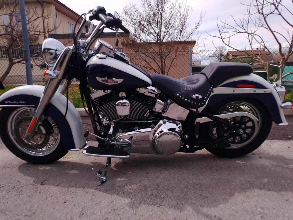 Harley-Davidson 1584 Deluxe (2007 - 08) - FLSTN (4)