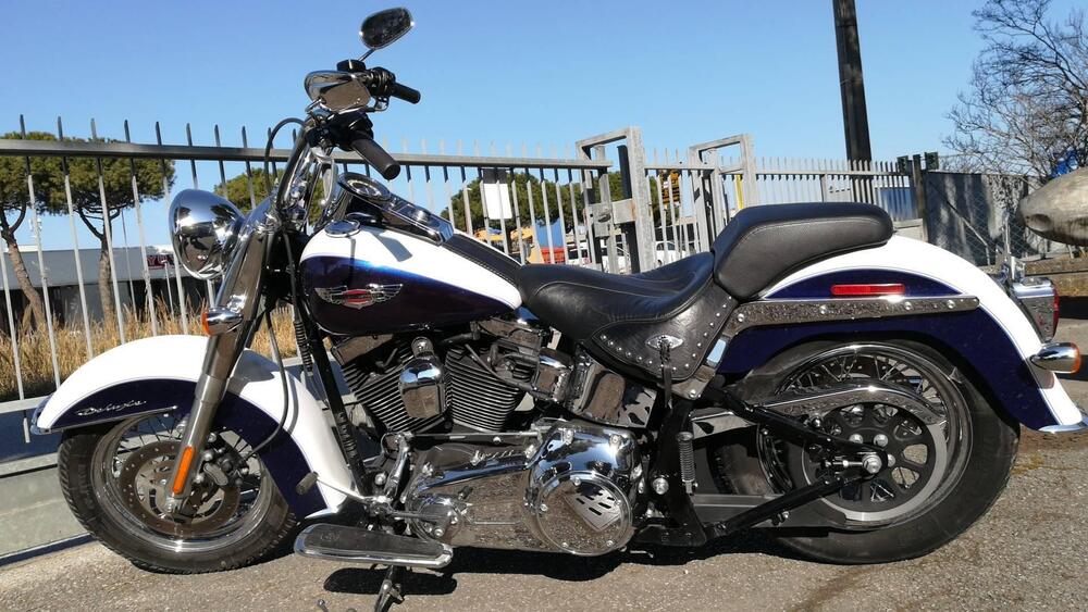 Harley-Davidson 1584 Deluxe (2007 - 08) - FLSTN (5)