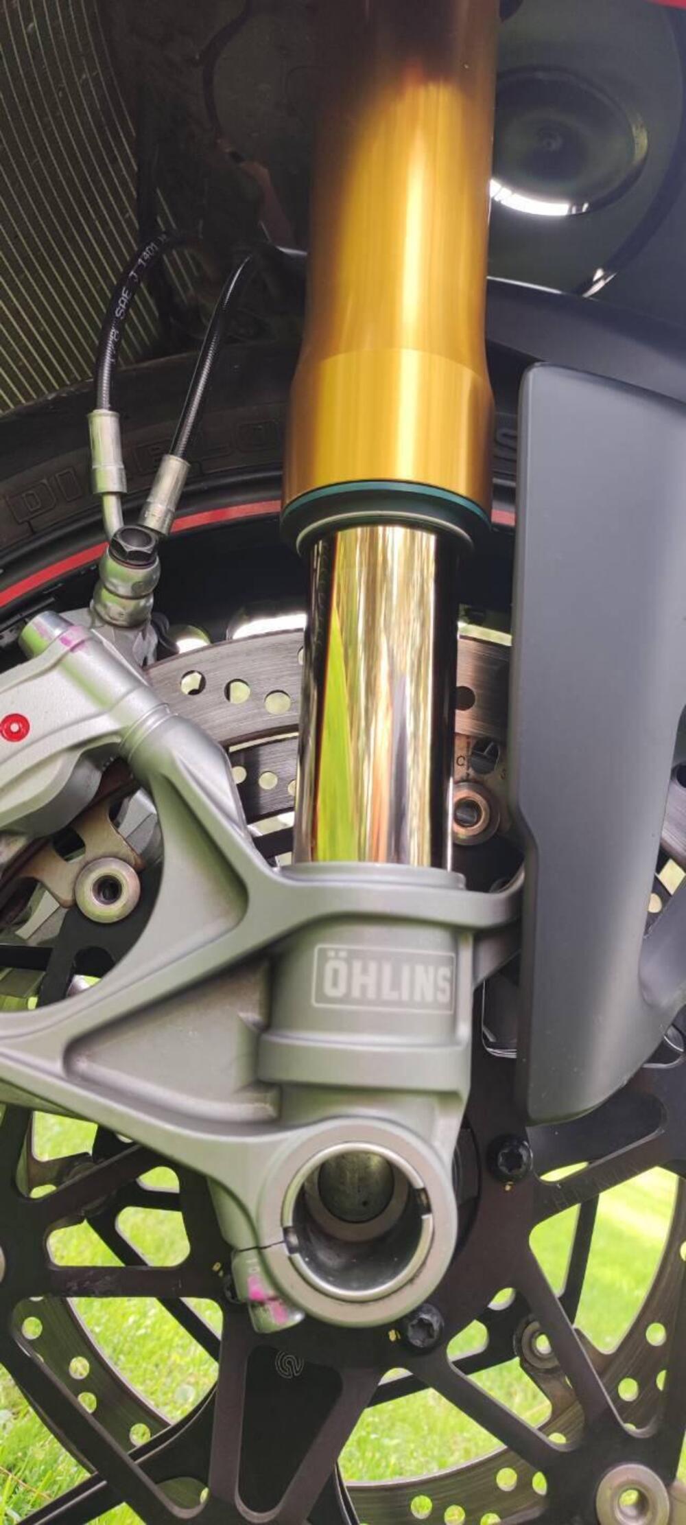 Ducati Panigale V4 S 1100 (2018 - 19) (5)