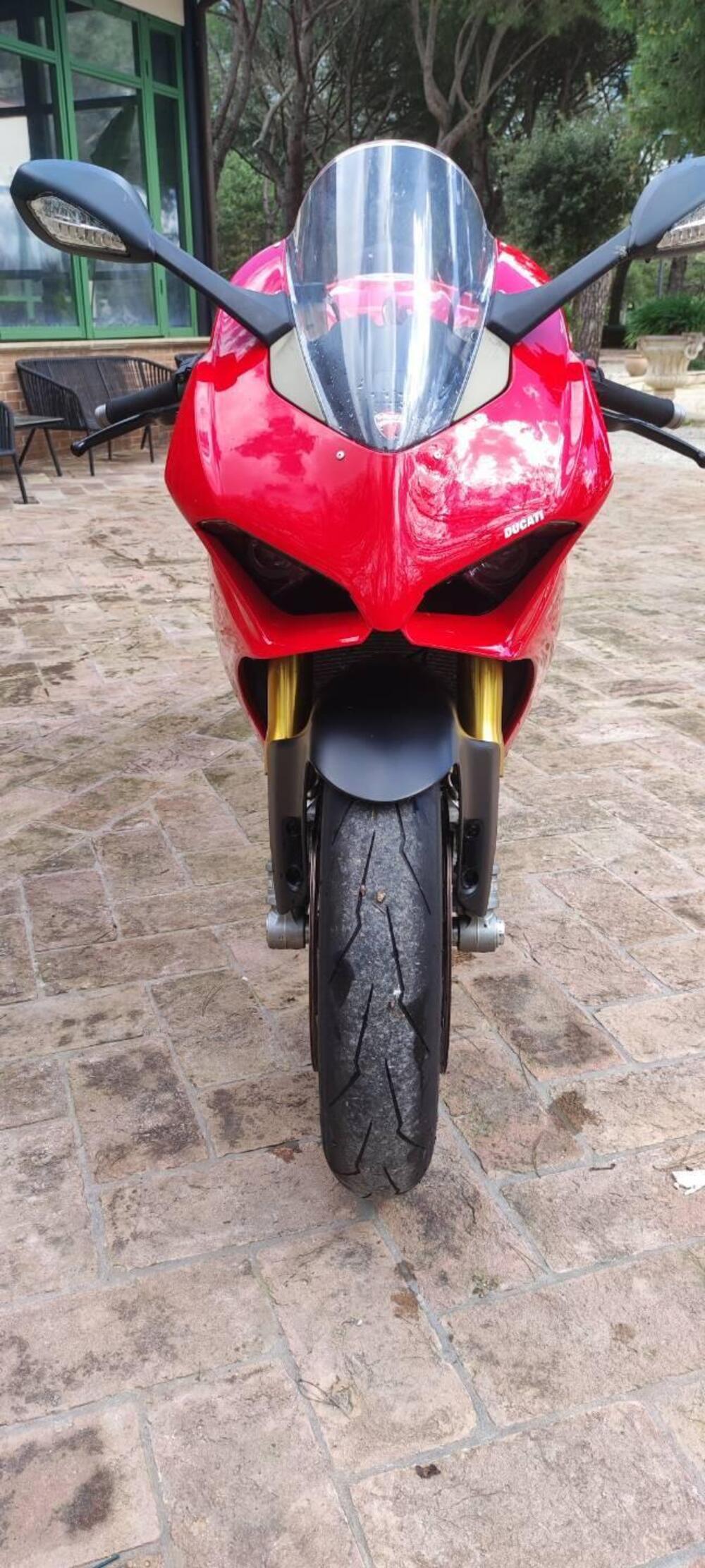 Ducati Panigale V4 S 1100 (2018 - 19) (2)