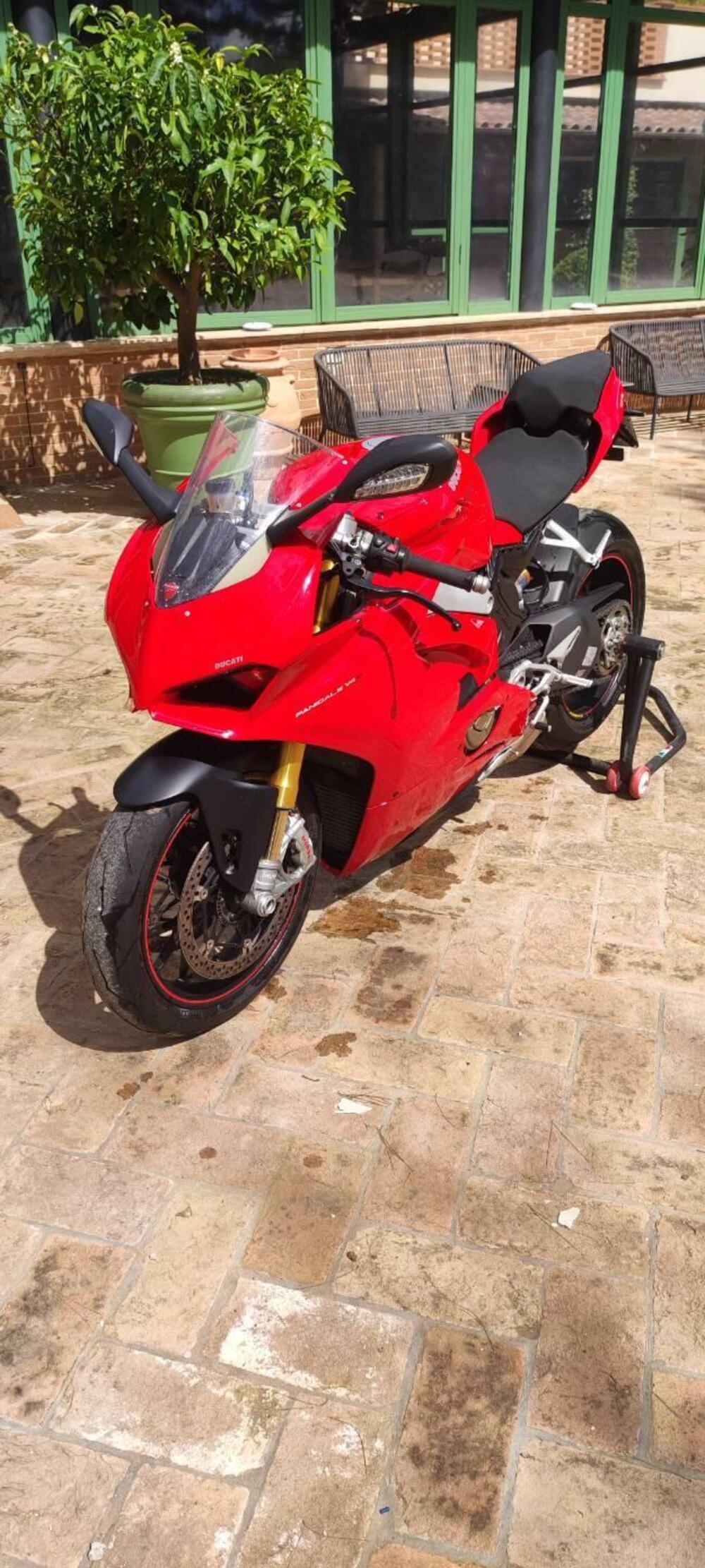 Ducati Panigale V4 S 1100 (2018 - 19) (6)