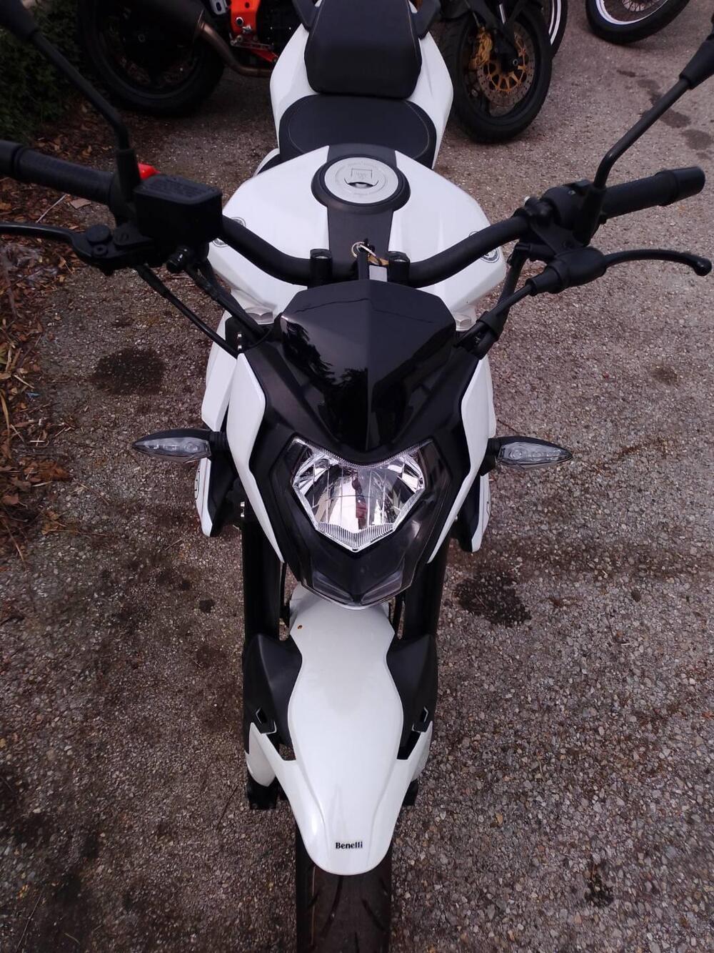 Benelli BN 125 (2021 - 25) (3)