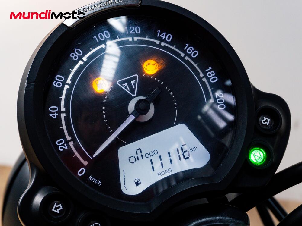 Triumph Street Scrambler 900 Gold Line Edition (2021 - 23) (10)