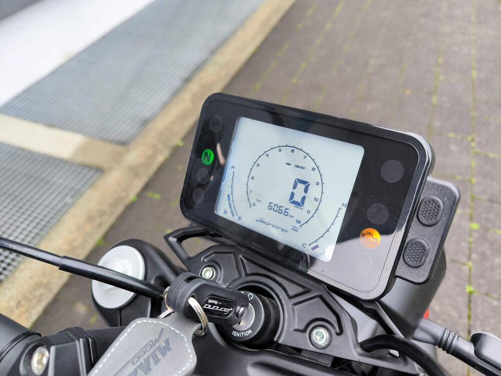 Benelli Leoncino 125 (2022 - 25) (7)