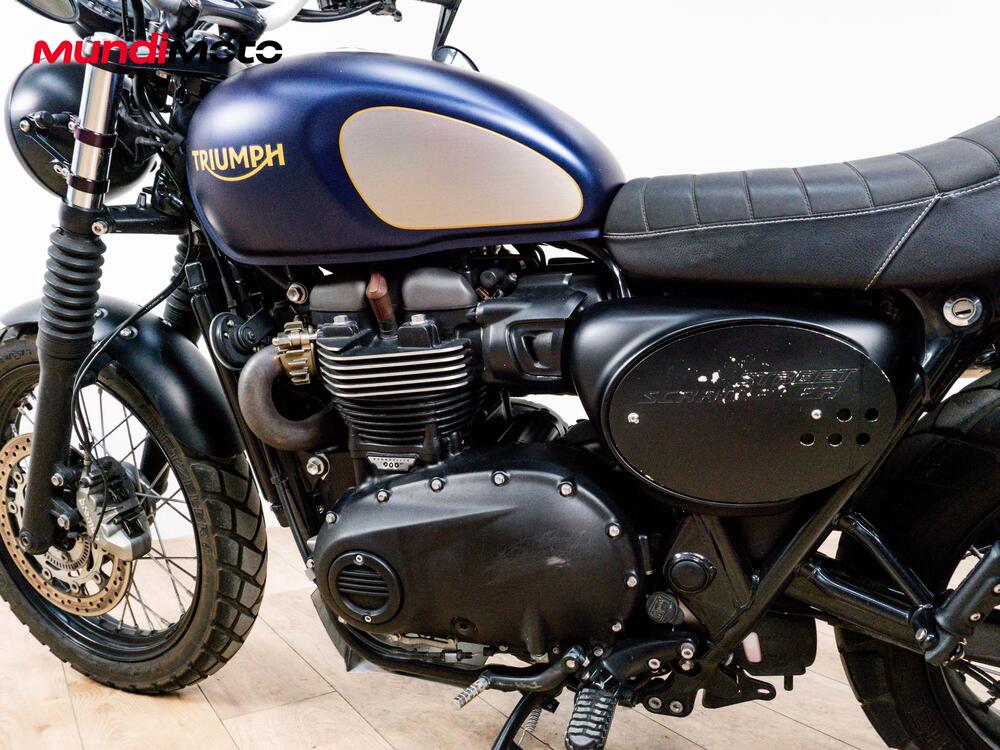 Triumph Street Scrambler 900 Gold Line Edition (2021 - 23) (9)