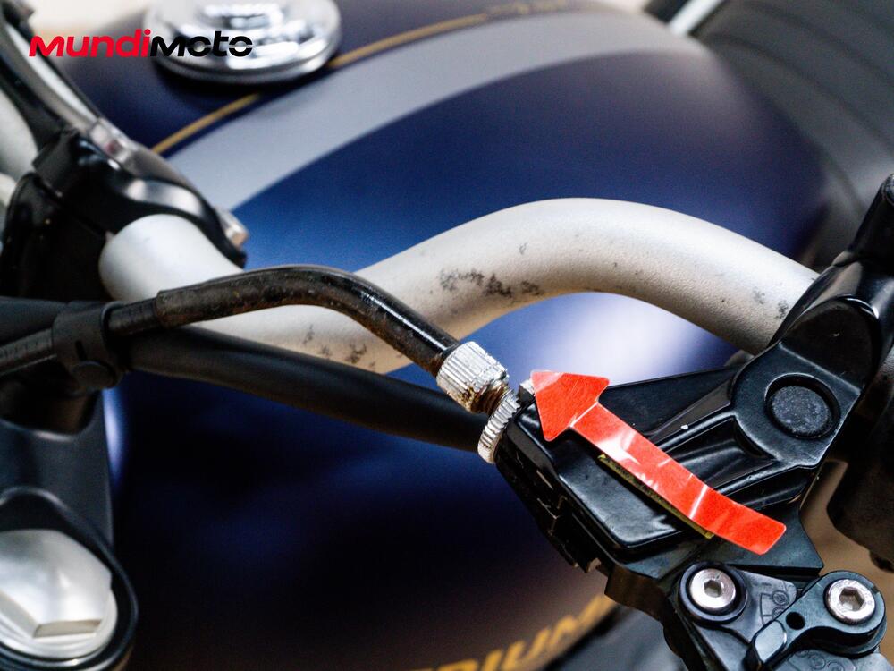 Triumph Street Scrambler 900 Gold Line Edition (2021 - 23) (13)