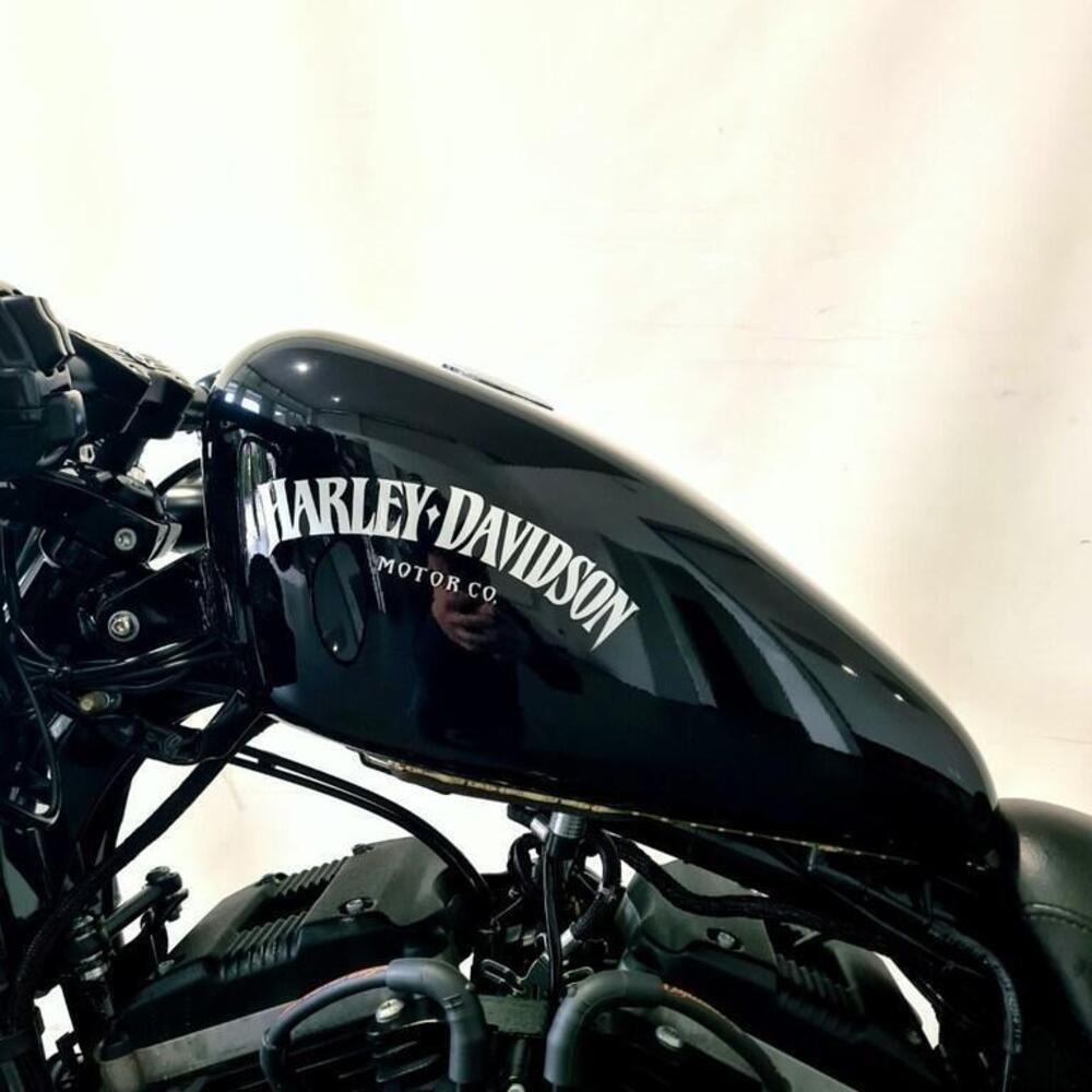 Harley-Davidson 883 Iron (2012 - 14) - XL 883N (9)