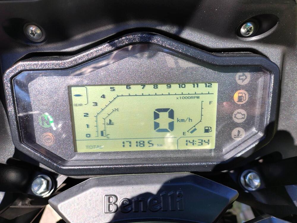 Benelli TRK 251 (2022 - 25) (3)