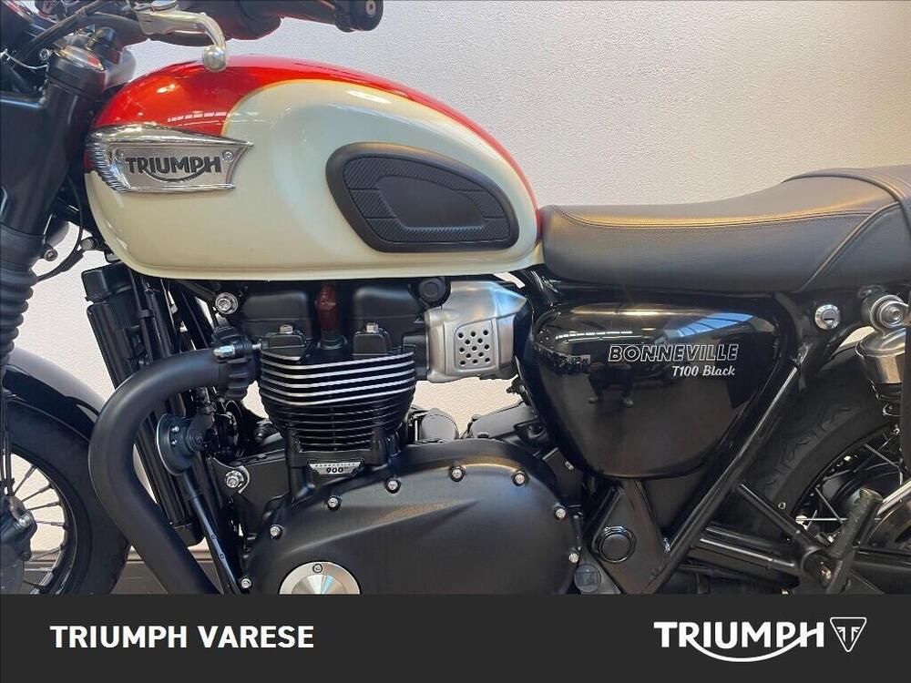 Triumph Bonneville T100 (2017 - 20) (5)