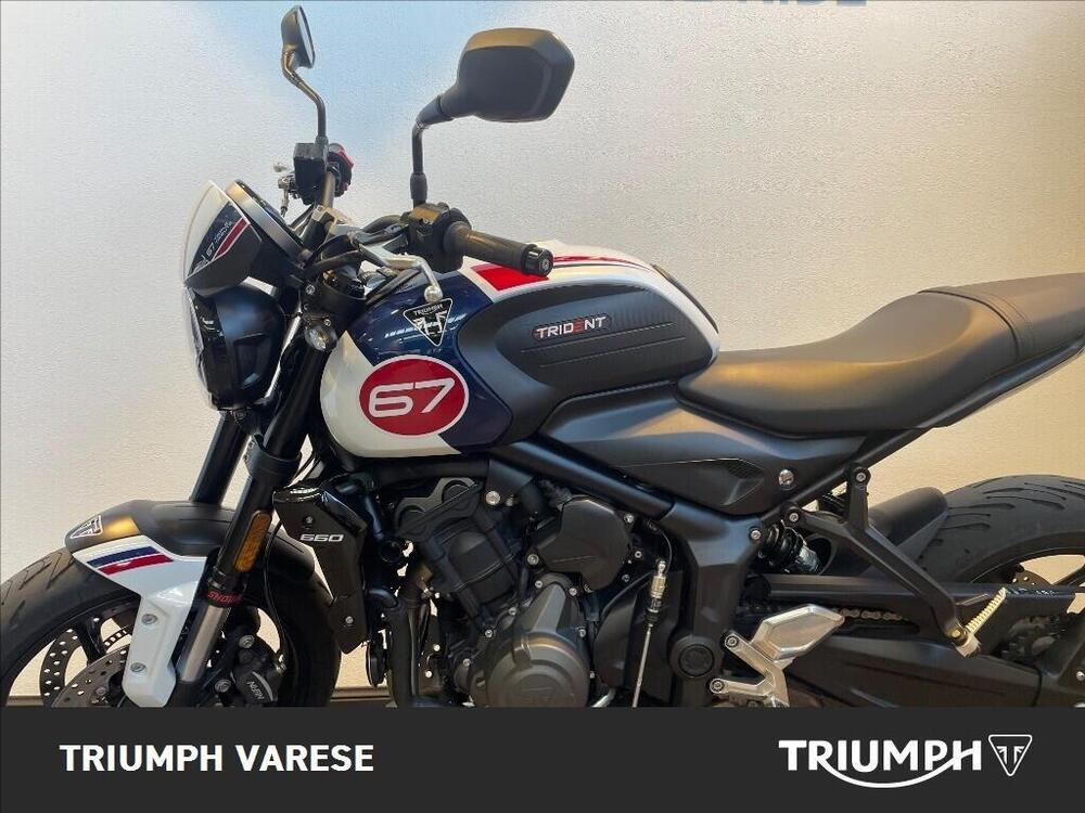 Triumph Trident 660 Triple Tribute Edition (2024) (5)