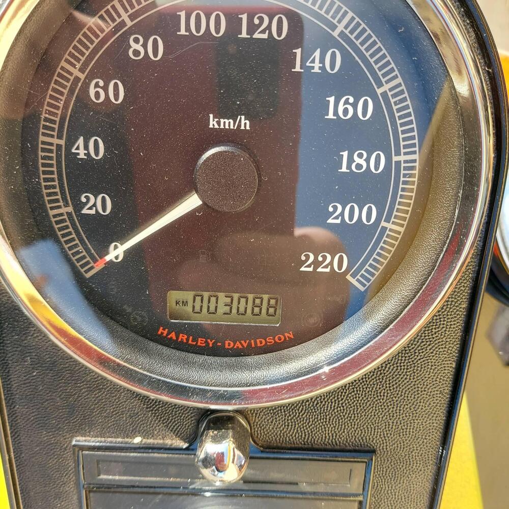 Harley-Davidson 1584 Night Train (2006 - 07) - FXSTB (9)