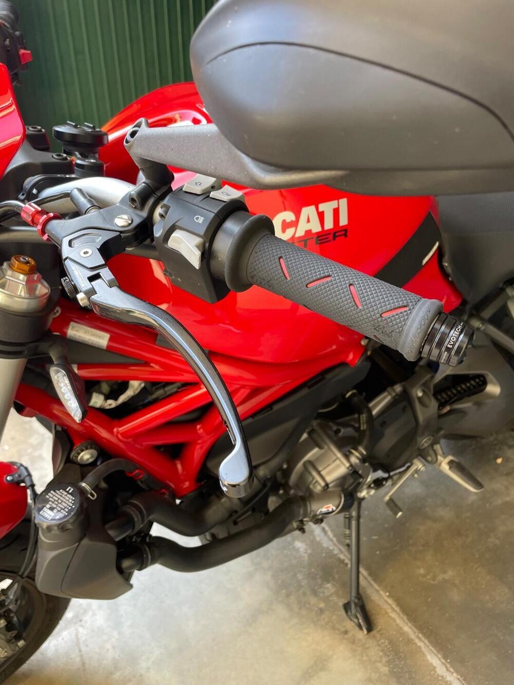 Ducati Monster 821 (2018 - 20) (11)