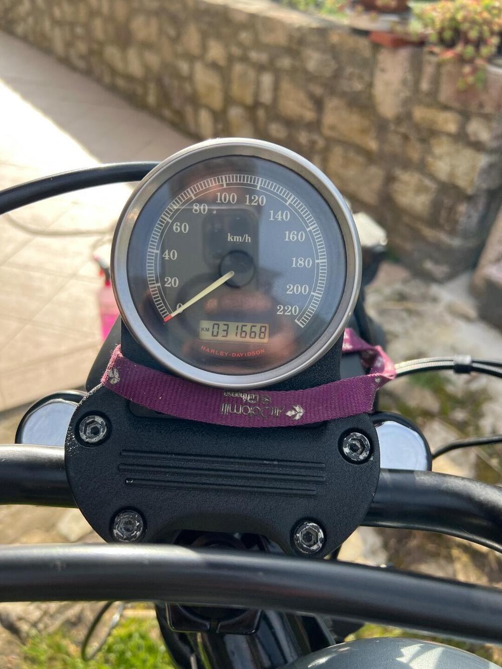 Harley-Davidson 883 Iron (2012 - 14) - XL 883N (5)