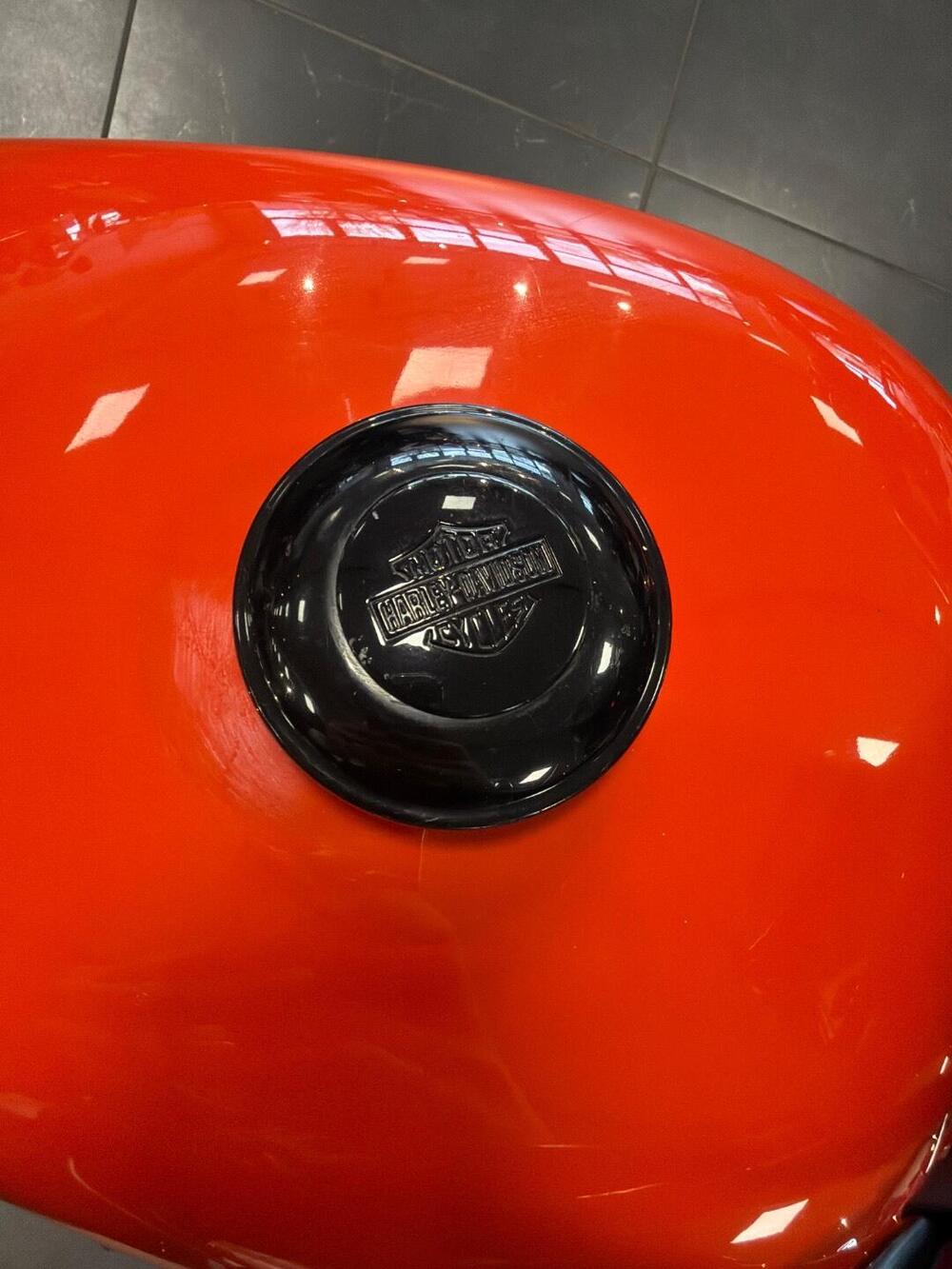 Harley-Davidson XL 1200N Nightster (2008 - 12) (20)