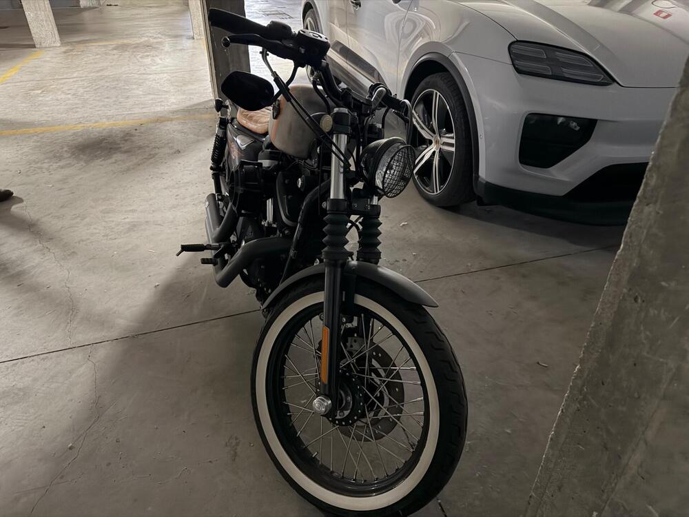 Harley-Davidson 883 Custom (2008 - 12) - XL 883C (2)