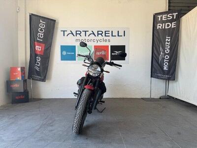 Moto Guzzi V7 Stone (2021 - 24) usata