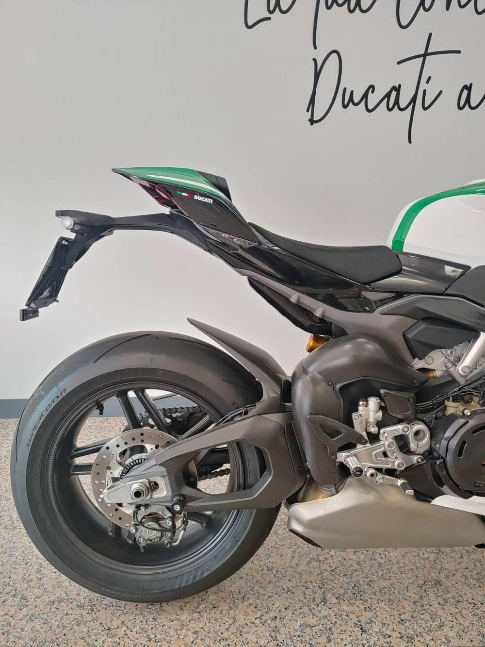 Ducati Panigale V4 Tricolore (2025 - 26) (7)