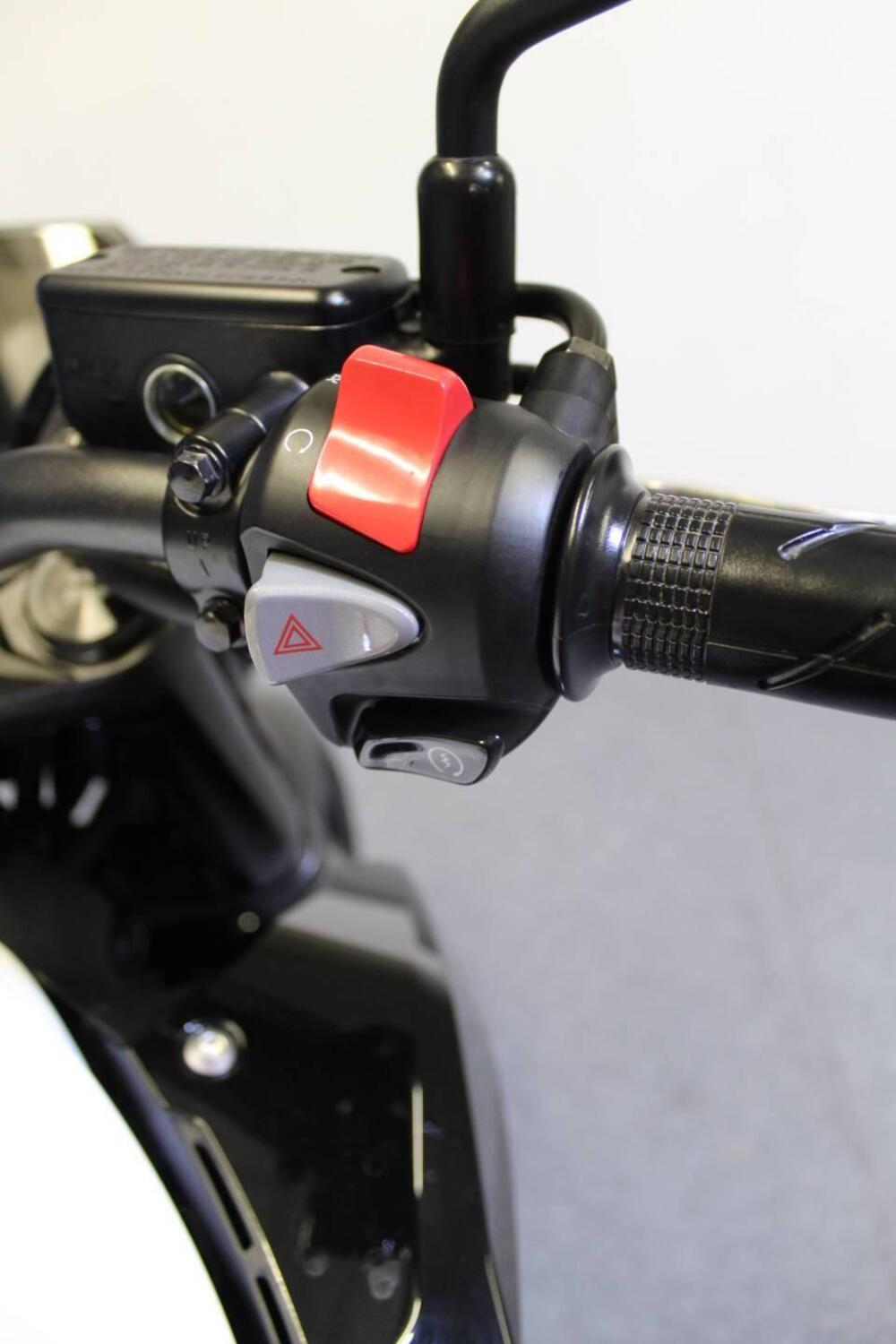 Honda CB 500 Hornet (2024 - 25) (11)