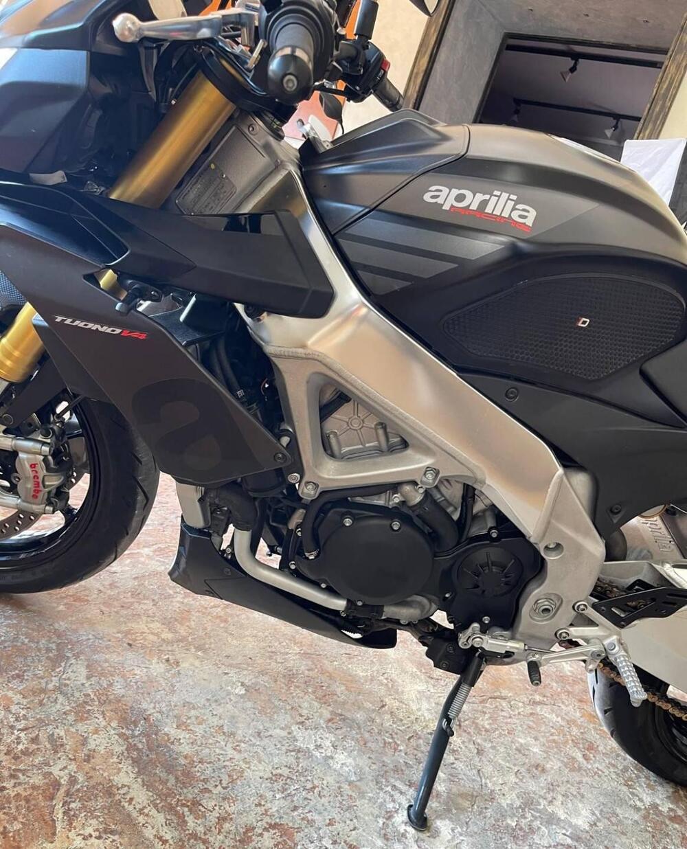 Aprilia Tuono V4 RR (2019 - 20) (14)