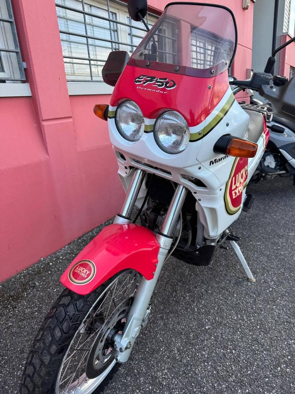 Cagiva Elefant 750 Cat (1994 - 97) (14)