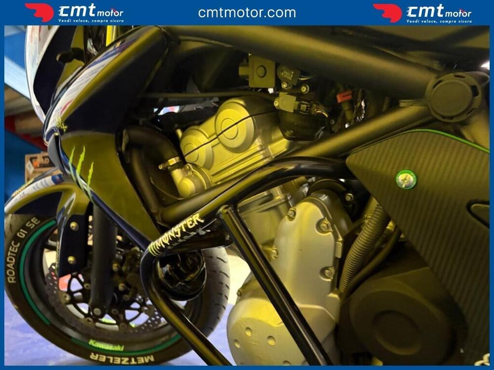 Kawasaki ER-6N (2009 - 11) (7)