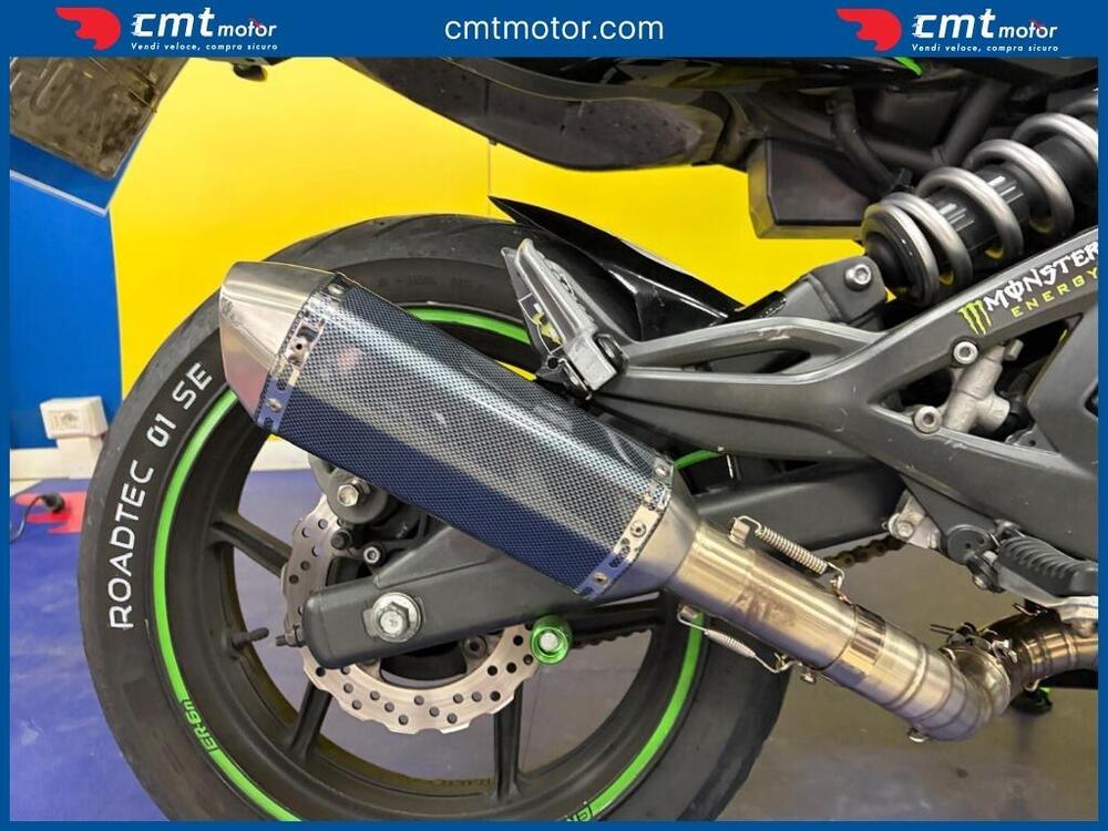 Kawasaki ER-6N (2009 - 11) (8)