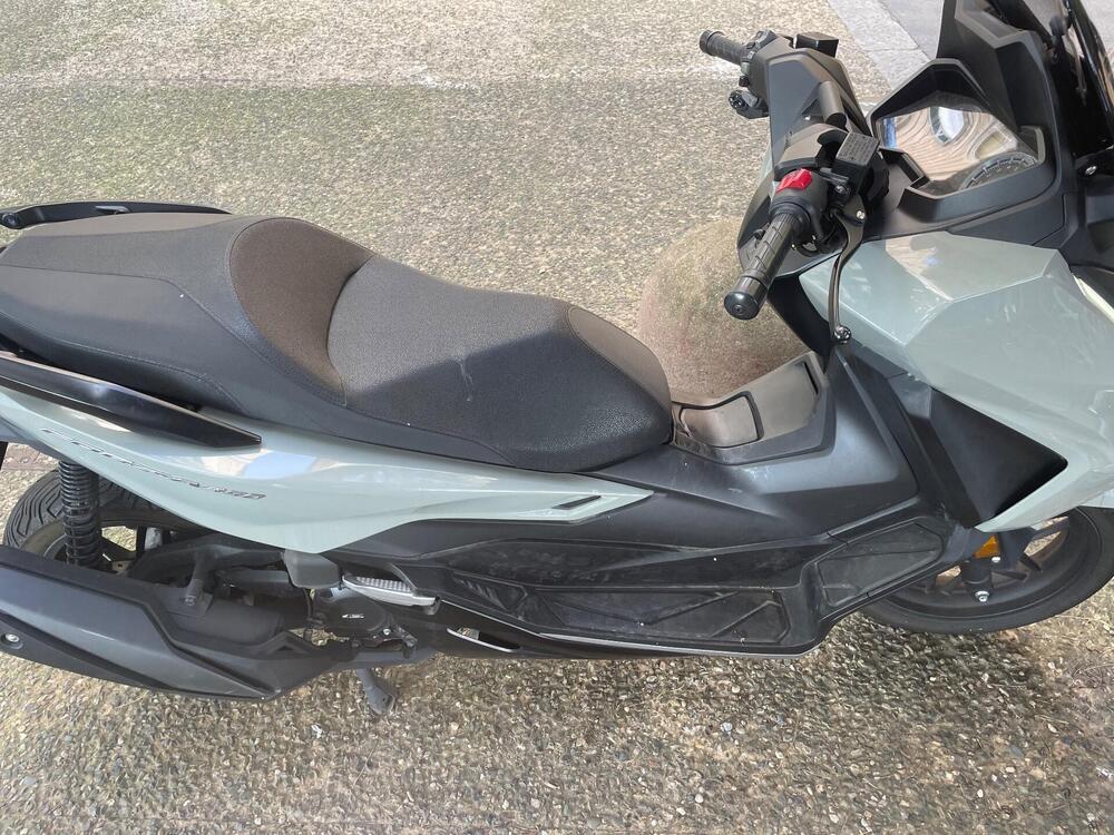 Honda Forza 350 (2022 - 24)