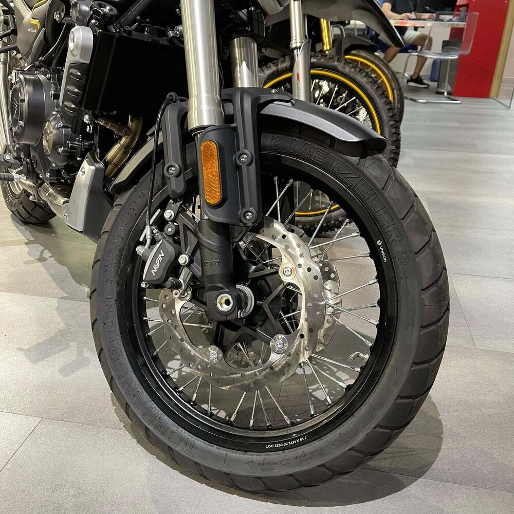 Voge Trofeo 525ACX Scrambler (2023 - 26) (6)