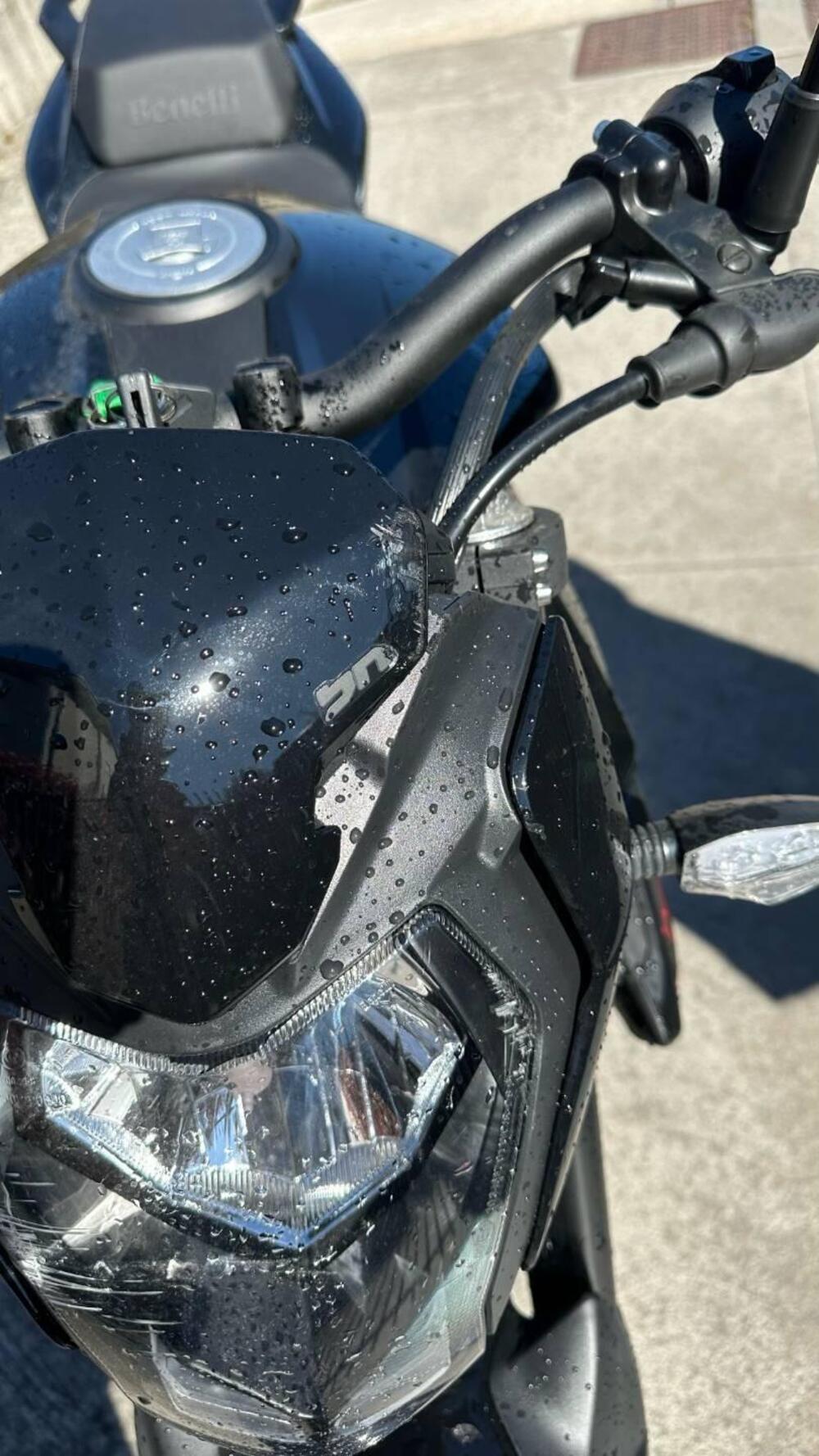 Benelli BN 125 (2021 - 25) (4)