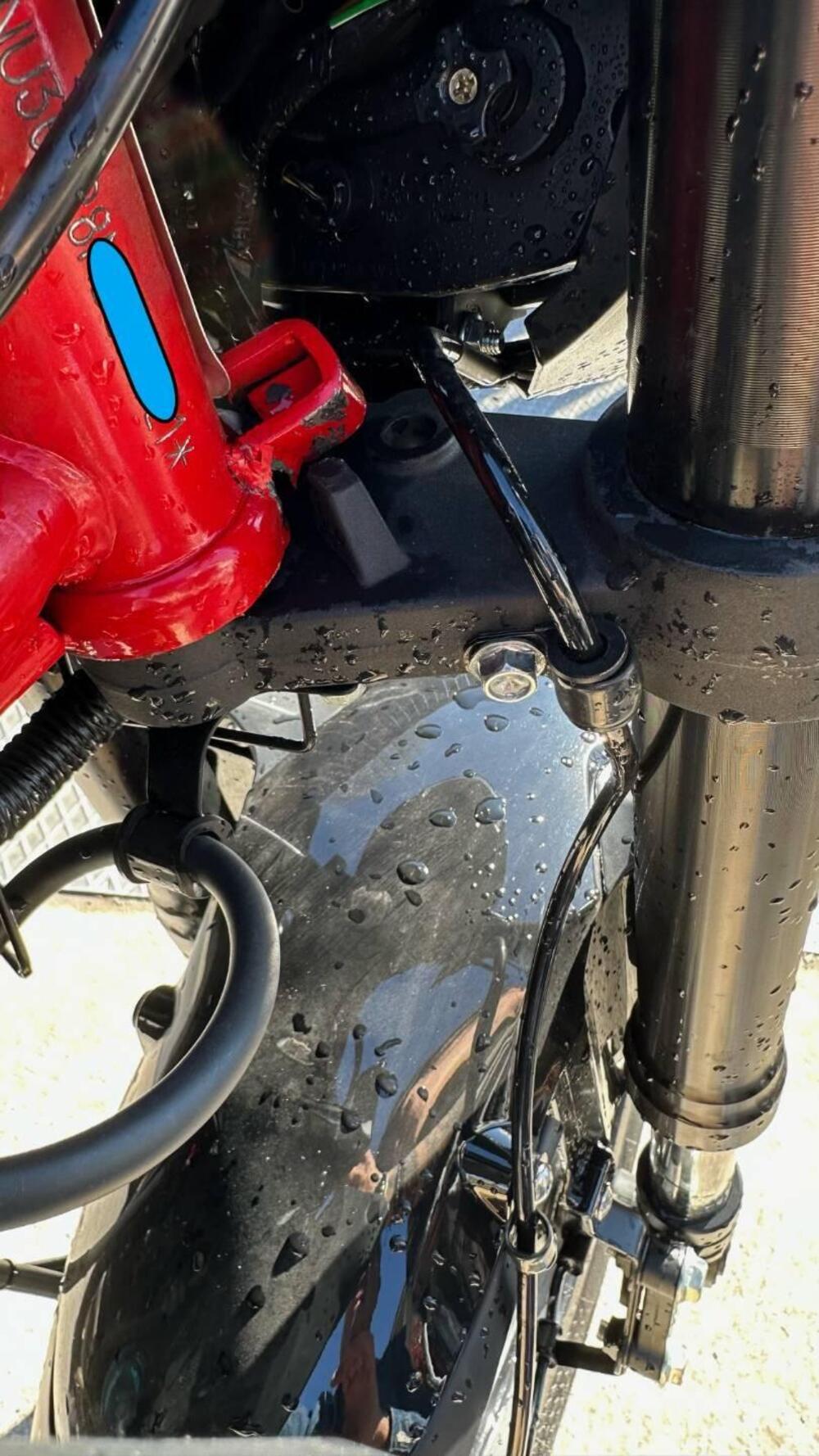 Benelli BN 125 (2021 - 25) (6)