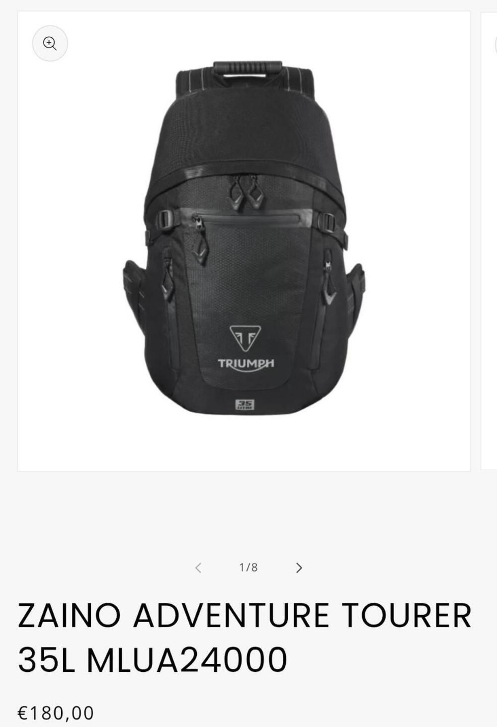 Triumph Speed Twin 1200 RS (2025 - 26) (6)