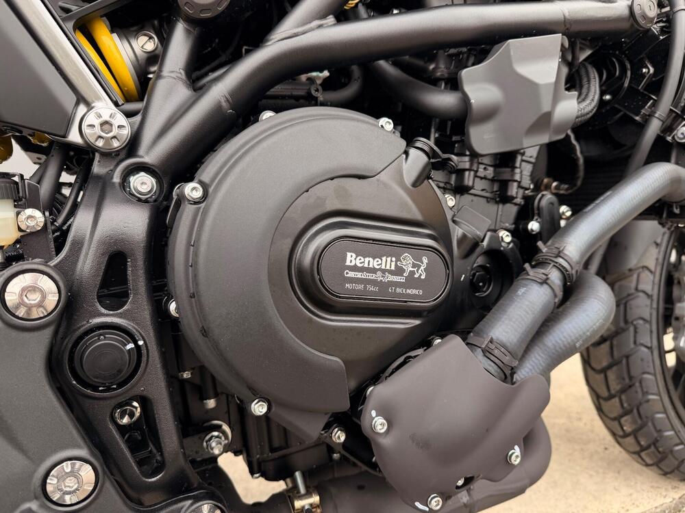 Benelli Leoncino 800 (2022 - 26) (2)