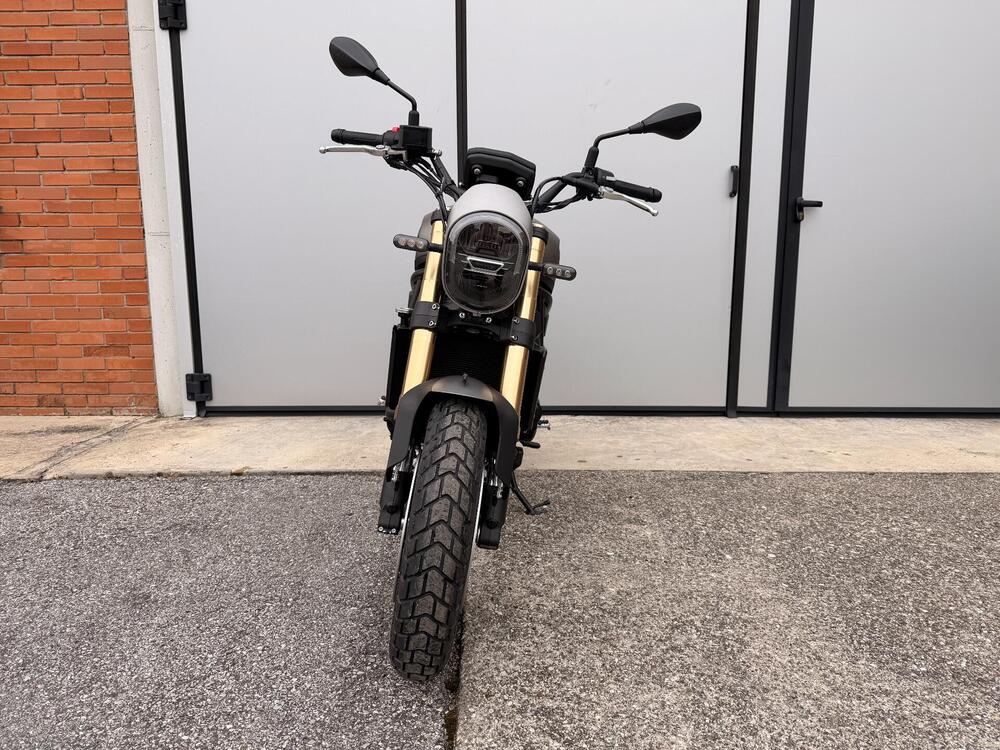 Benelli Leoncino 800 (2022 - 26) (7)