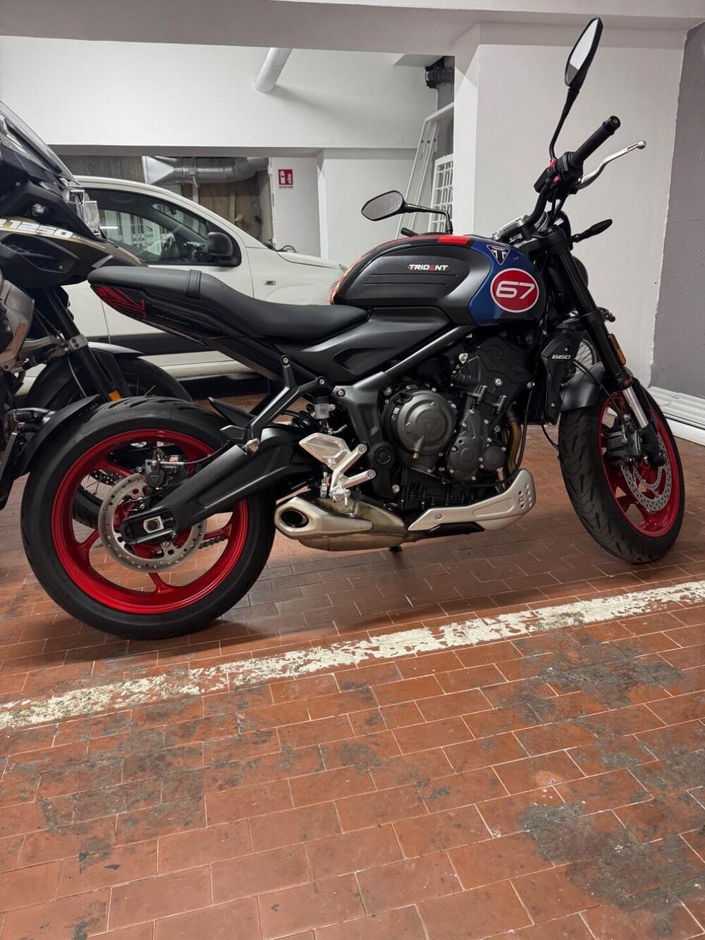 Triumph Trident 660 Triple Tribute Edition (2025 - 26) (2)