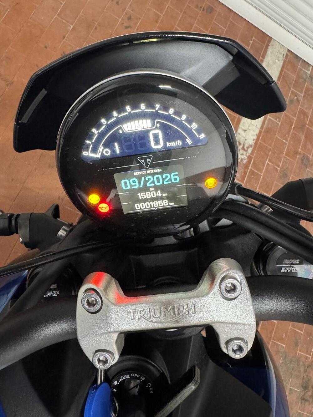 Triumph Trident 660 Triple Tribute Edition (2025 - 26) (5)