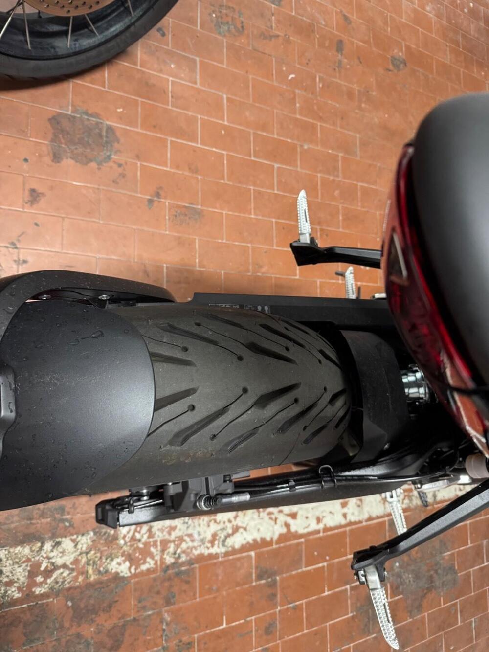 Triumph Trident 660 Triple Tribute Edition (2025 - 26) (7)