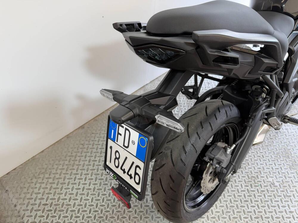 Kawasaki Versys 650 (2021 - 24) (6)