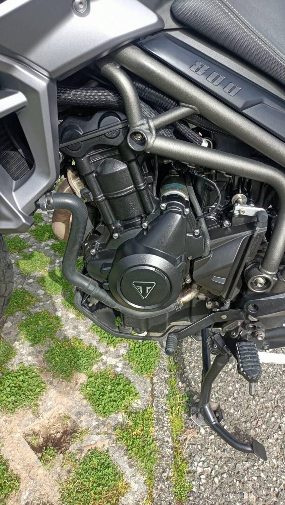 Triumph Tiger 800 XRx (2015 - 17) (9)