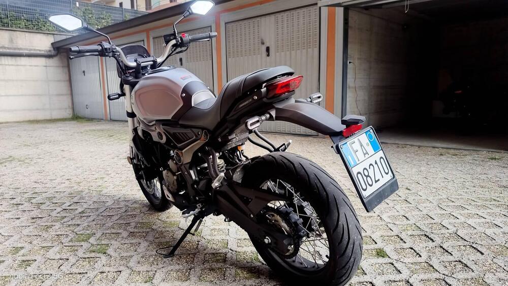 Voge Trofeo 300ACX Scrambler (2021 - 26) (4)