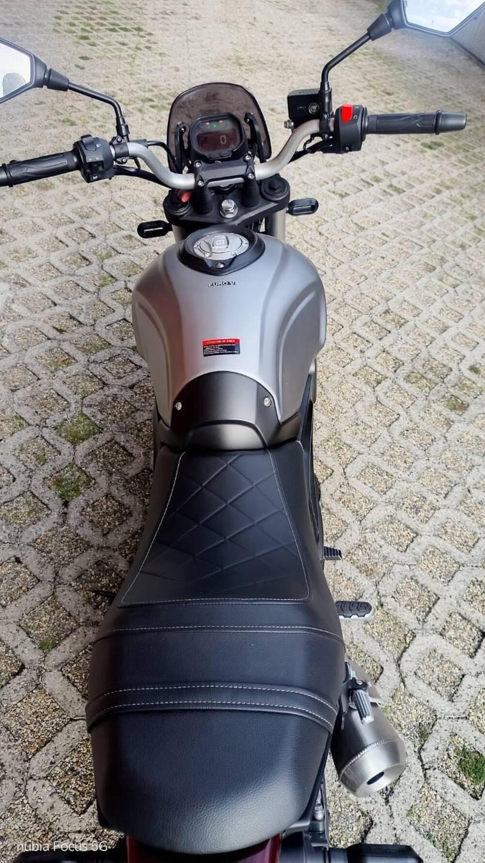 Voge Trofeo 300ACX Scrambler (2021 - 26) (5)