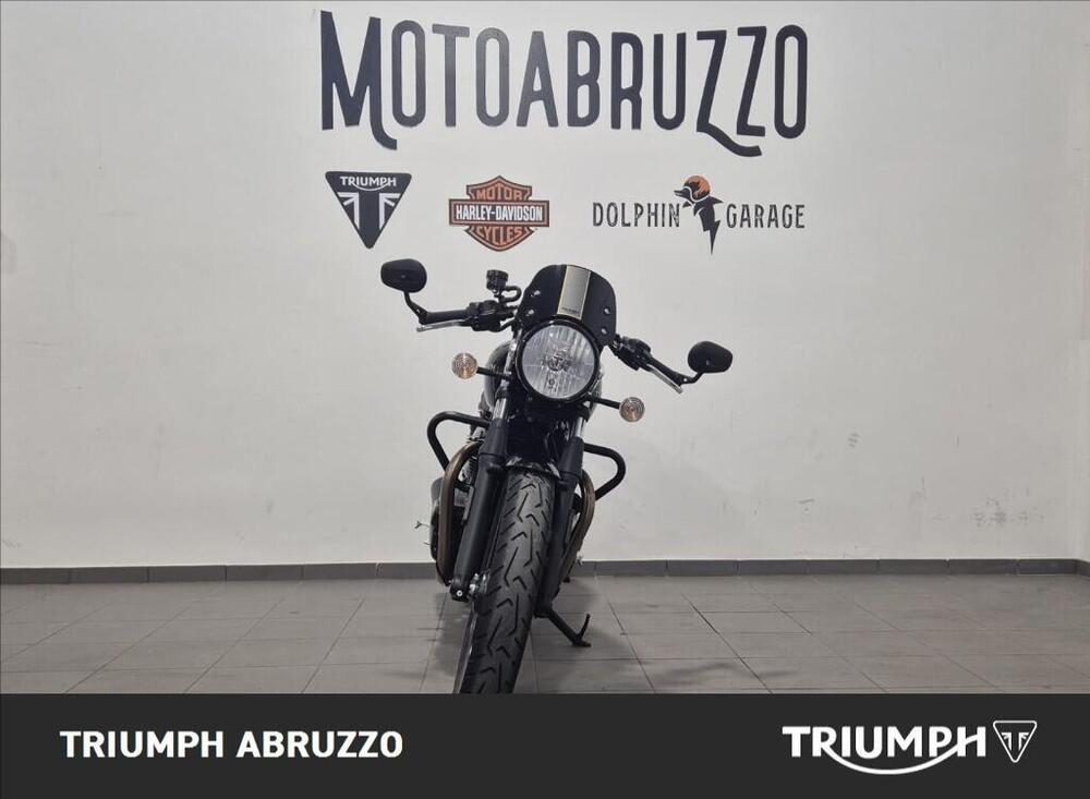 Triumph Street Cup 900 (2017 - 19) (6)