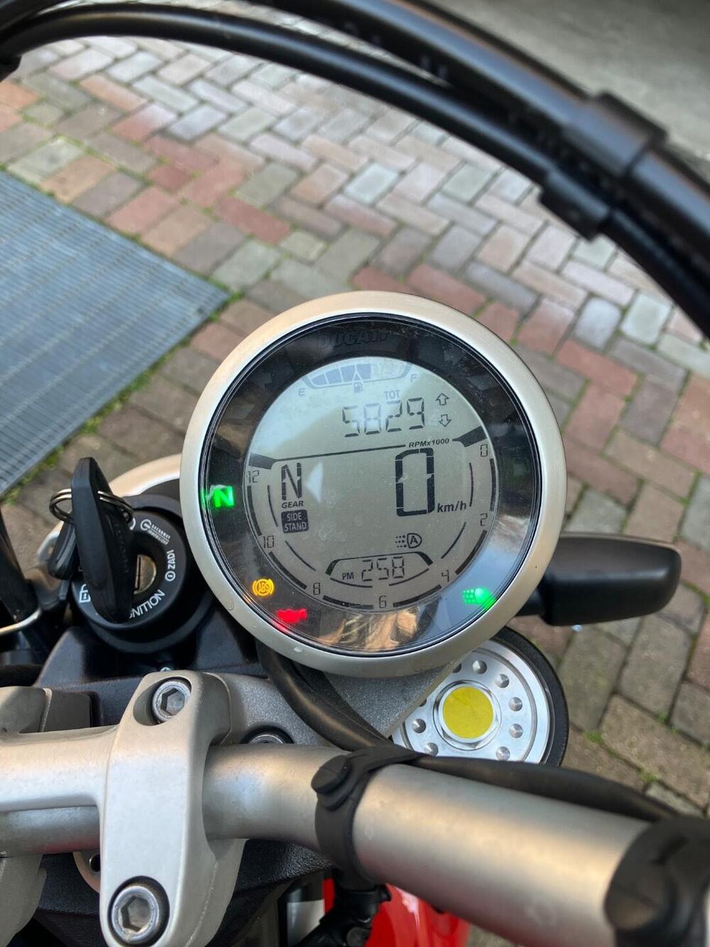 Ducati Scrambler 800 Icon (2021 - 22) (2)