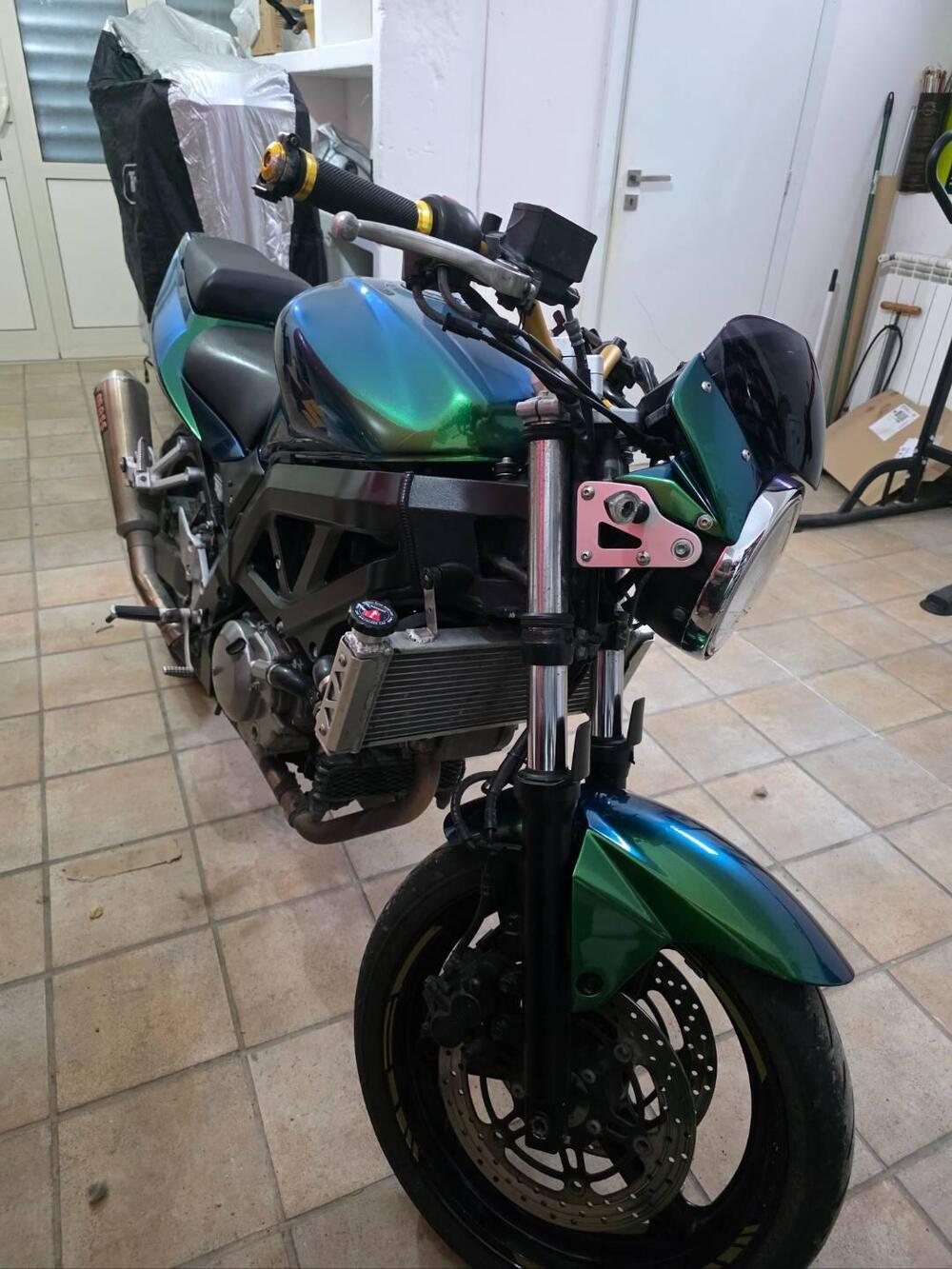 Suzuki SV 650 (2006 - 11) (2)