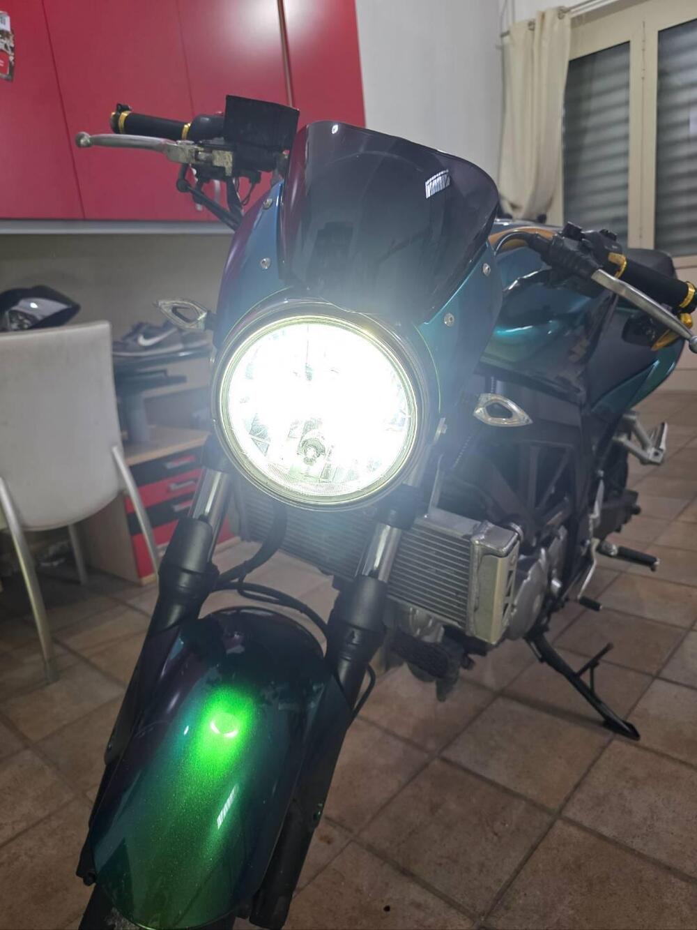 Suzuki SV 650 (2006 - 11) (7)