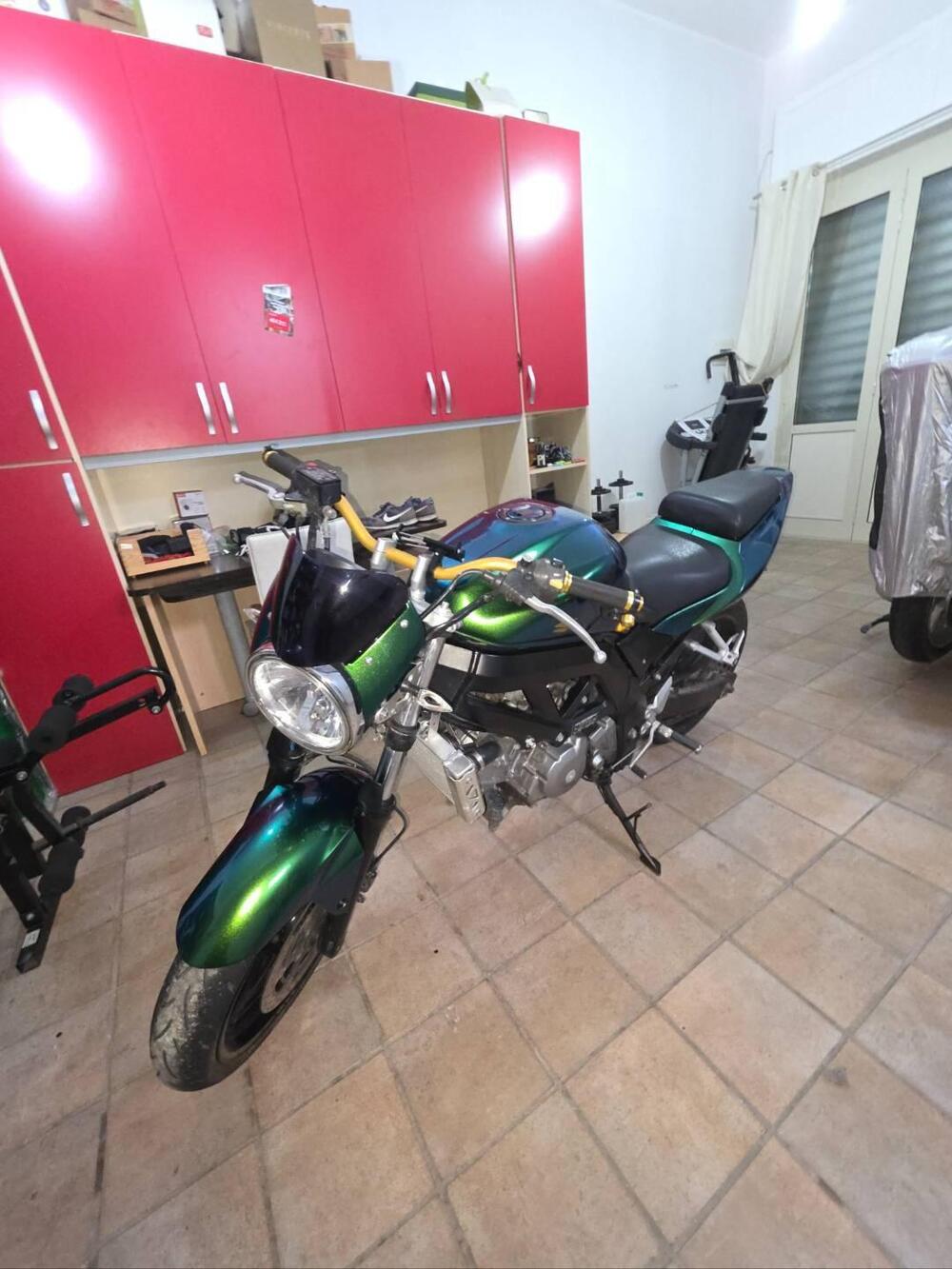 Suzuki SV 650 (2006 - 11) (8)