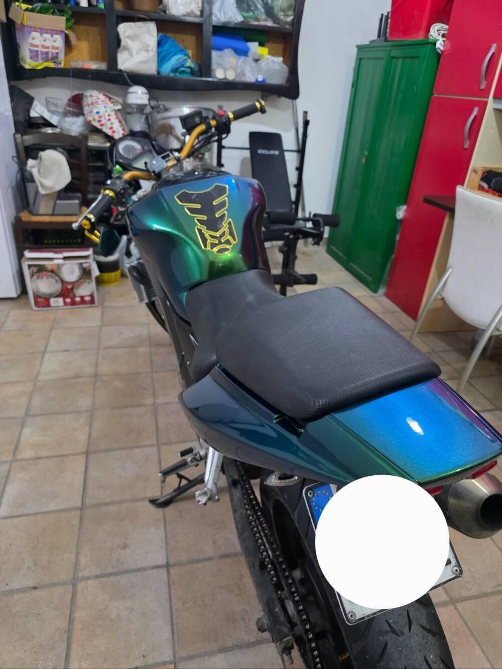 Suzuki SV 650 (2006 - 11) (10)