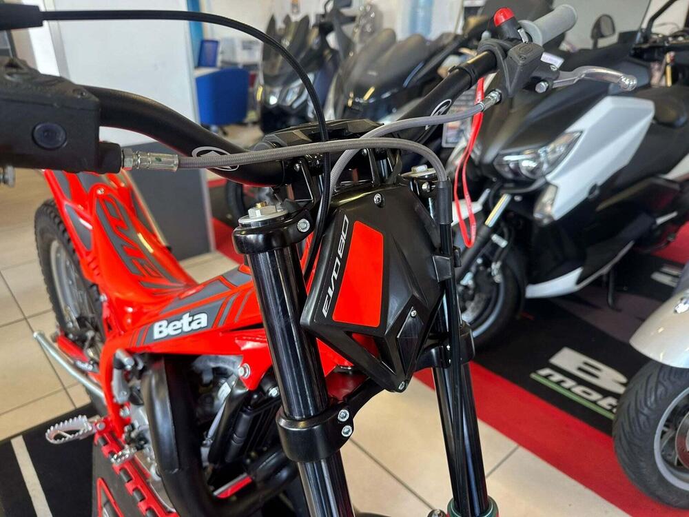 Betamotor Evo 80 Senior (2025 - 26) (9)