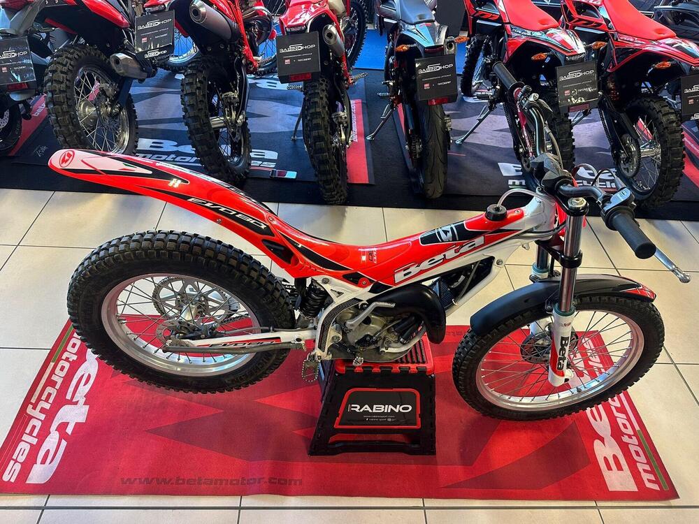 Betamotor Evo 80 Senior (2011 - 24) (6)